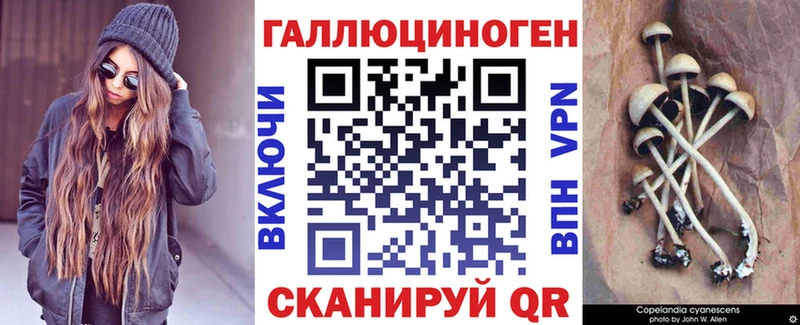 гидра tor  Видное  Псилоцибиновые грибы мицелий  где найти  